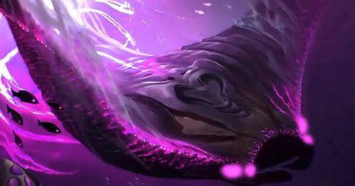 巴西老哥爆料视频最新,最新爆料视频背后的惊人真相